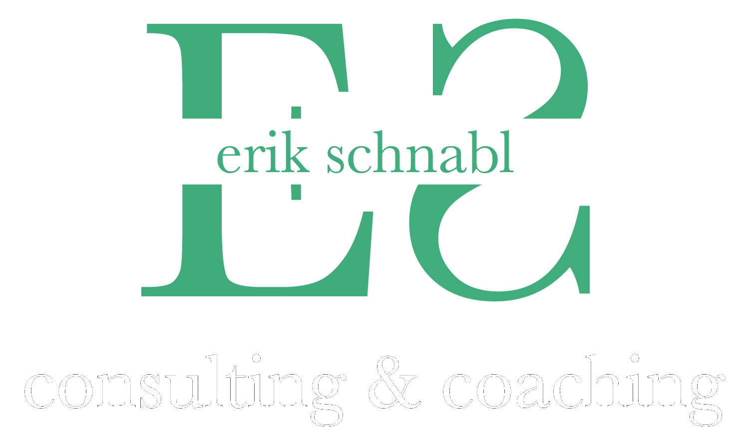Erik Schnabl – Consulting & Coaching